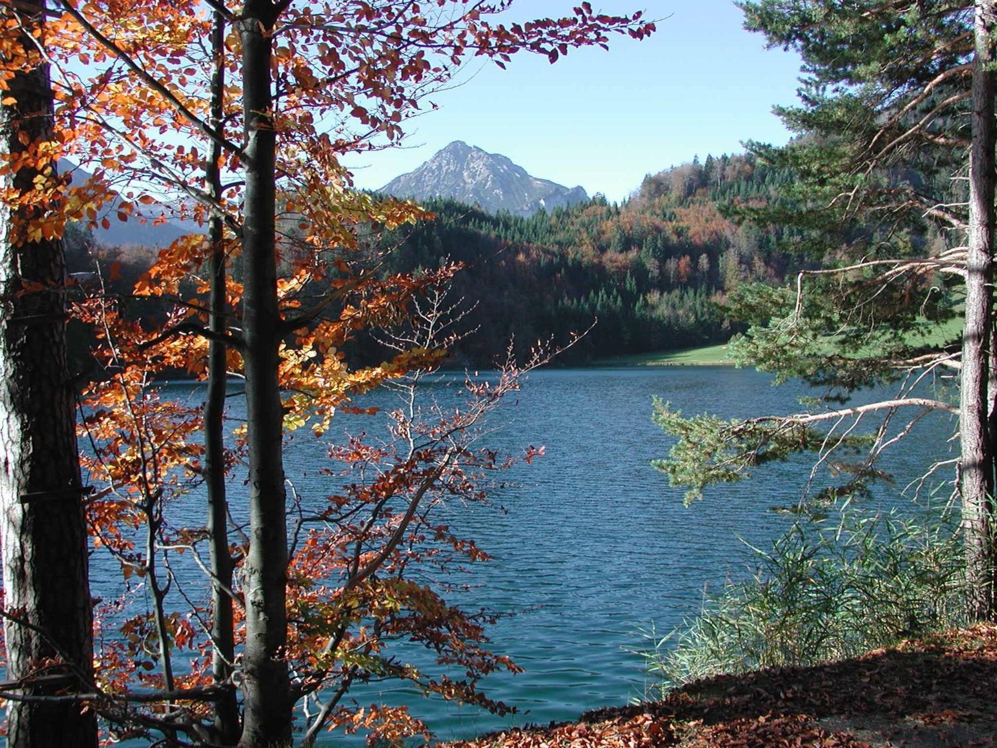 Die Lilie / Hotel Garni Reuthe Buitenkant foto