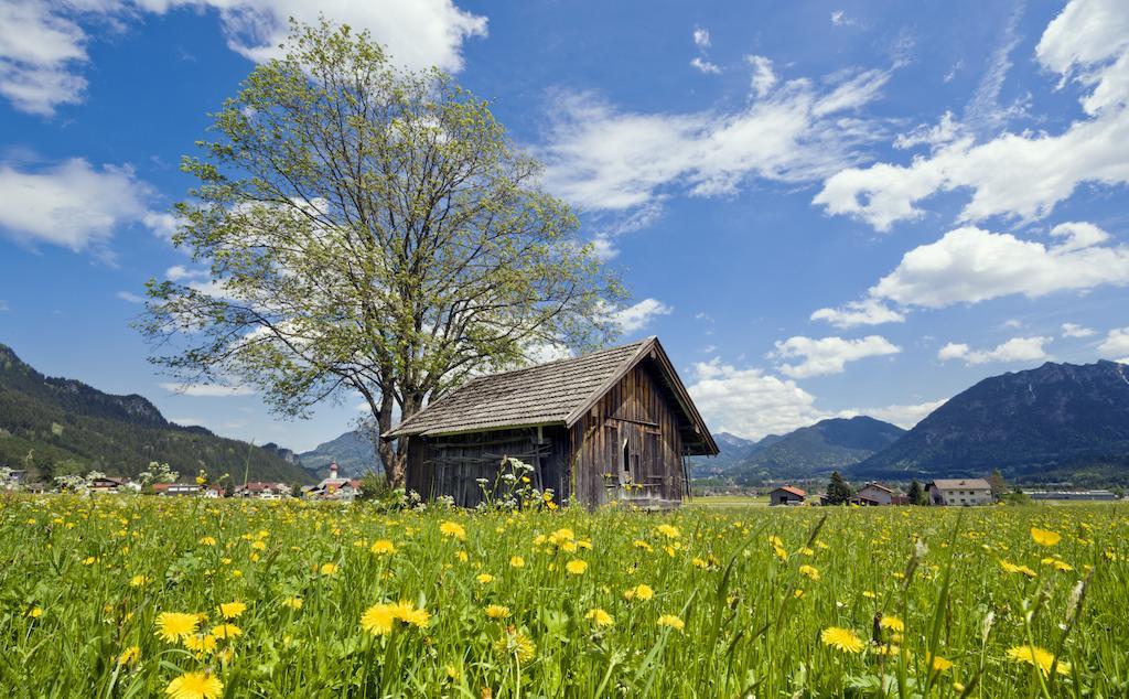 Die Lilie / Hotel Garni Reuthe Buitenkant foto